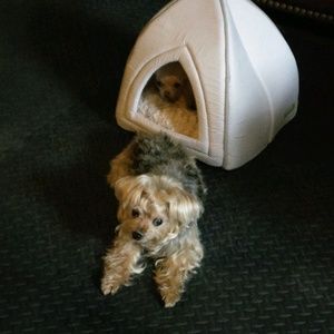 Meet your Posher, Velia